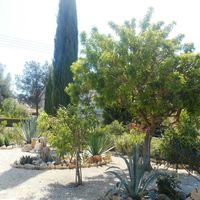 Villa in Republic of Cyprus, Lemesou, 150 sq.m.