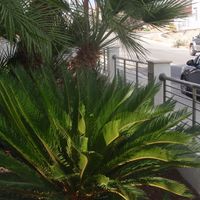 Вилла на Кипре, Лимасол, 192 кв.м.