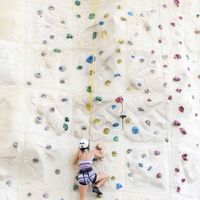 Hotel in United Arab Emirates, Dubai, 31 sq.m.