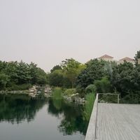 Apartment in United Arab Emirates, Dubai, 508 sq.m.