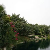 Apartment in United Arab Emirates, Dubai, 508 sq.m.