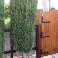 Villa in Republic of Cyprus, Lemesou, 140 sq.m.