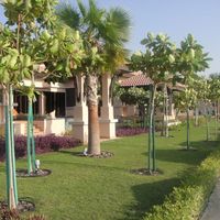 Пентхаус в ОАЭ, Дубаи, 604 кв.м.