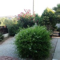 Villa in Republic of Cyprus, Lemesou, 140 sq.m.