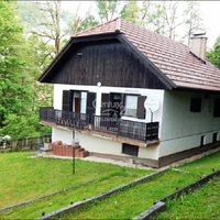 Дом в деревне в Словении, Згорня Кунгота, 157 кв.м.