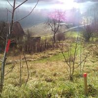 Дом в деревне в Словении, Згорня Кунгота, 100 кв.м.