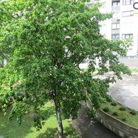 Квартира в большом городе в Словении, Марибор, 89 кв.м.