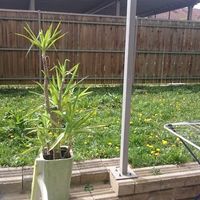 Flat in the big city in Slovenia, Maribor, 117 sq.m.