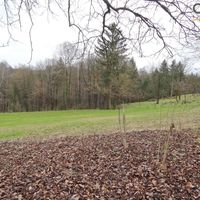 House in the village in Slovenia, Maribor, 140 sq.m.