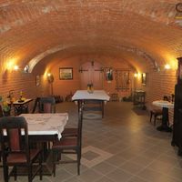 House in the suburbs in Slovenia, Maribor, 458 sq.m.