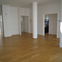 Flat in the big city in Slovenia, Ljubljana, 123 sq.m.