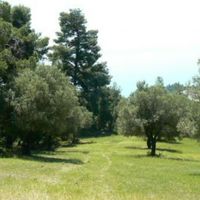 Land plot at the seaside in Greece, Kassandreia