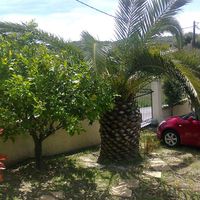 Дом у моря в Греции, Пелопоннес, 60 кв.м.