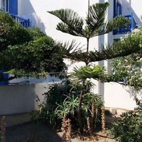 Квартира у моря в Греции, 43 кв.м.