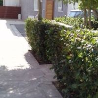 Квартира на Кипре, Лимасол, 98 кв.м.