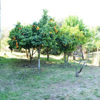 Дом в Греции, Центральная Македония, 210 кв.м.