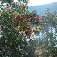 Flat in Montenegro, Herceg Novi, Herceg-Novi, 98 sq.m.