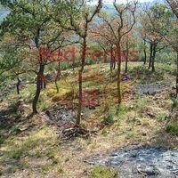 Land plot in Montenegro