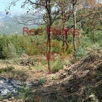 Land plot in Montenegro