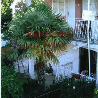 House in Montenegro, Bar, Sutomore, 109 sq.m.