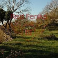 Land plot in Montenegro