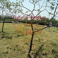 Land plot in Montenegro