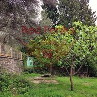 Земельный участок в Черногории, Будва, Пржно