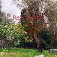 Земельный участок в Черногории, Будва, Пржно