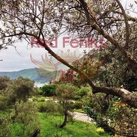 Земельный участок в Черногории, Будва, Пржно