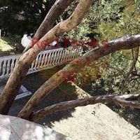 House in Montenegro, Bar, Susanj, 110 sq.m.