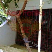 Квартира в Черногории, Бар, Сутоморе, 82 кв.м.