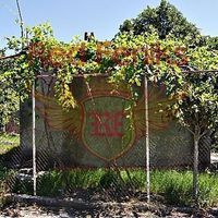 Дом в Черногории, Бар, Сутоморе, 50 кв.м.