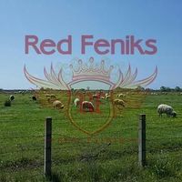 Земельный участок в Черногории