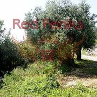 Земельный участок в Черногории, Будва, Пржно