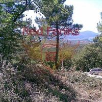 Land plot in Montenegro