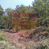 Land plot in Montenegro