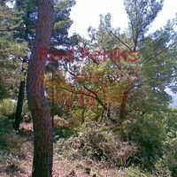 Land plot in Montenegro