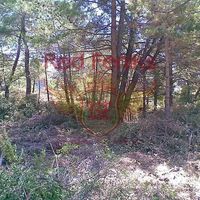 Land plot in Montenegro