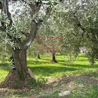 Другая коммерческая недвижимость в Италии, Пиза, 1274 кв.м.