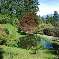 Вилла в Италии, Тронцано-Лаго-Маджоре, 800 кв.м.