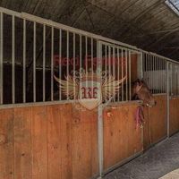 Other commercial property in Italy, Abruzzo, 608 sq.m.