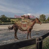 Other commercial property in Italy, Abruzzo, 608 sq.m.