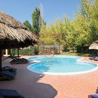 Другая коммерческая недвижимость в Италии, Пиза, 84000 кв.м.