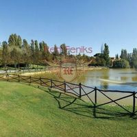 Другая коммерческая недвижимость в Италии, Пиза, 84000 кв.м.