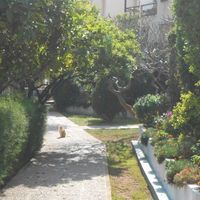 Flat in Republic of Cyprus, Lemesou, 85 sq.m.