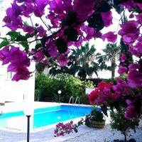 Вилла на Кипре, Пафос, 122 кв.м.