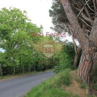 Land plot in Italy, Savona