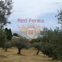 Land plot in Italy, Abruzzo