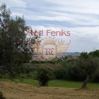 Land plot in Italy, Abruzzo
