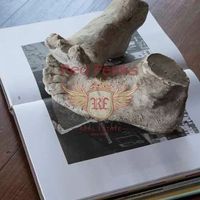 Villa in Italy, Savona, 400 sq.m.